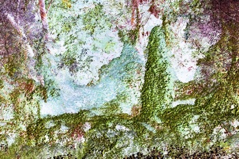 N 069A